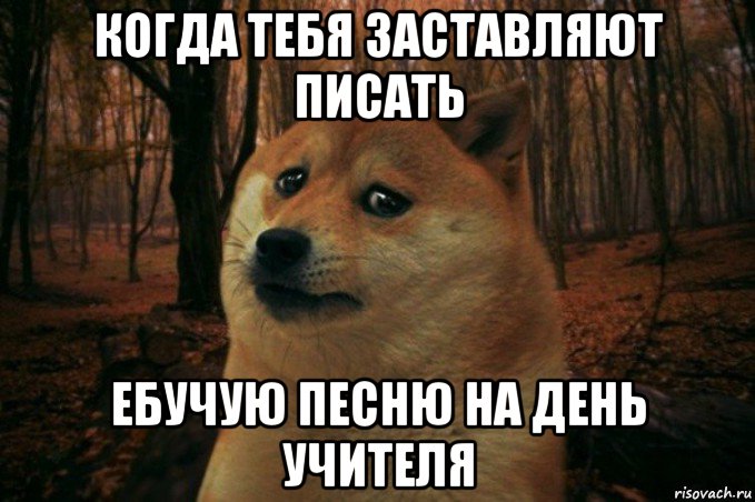 когда тебя заставляют писать ебучую песню на день учителя, Мем SAD DOGE