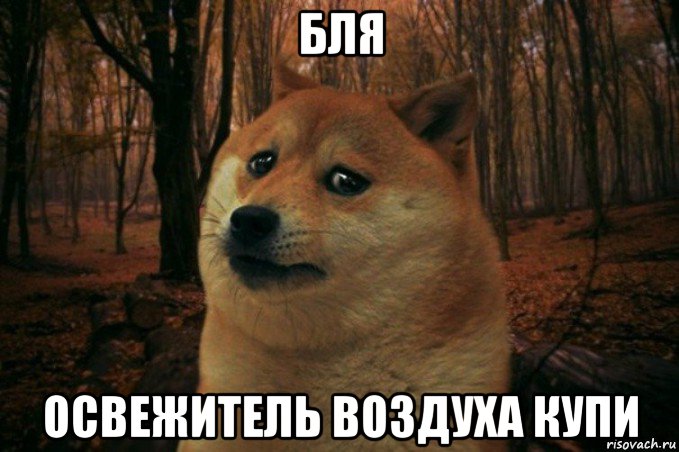 бля освежитель воздуха купи, Мем SAD DOGE