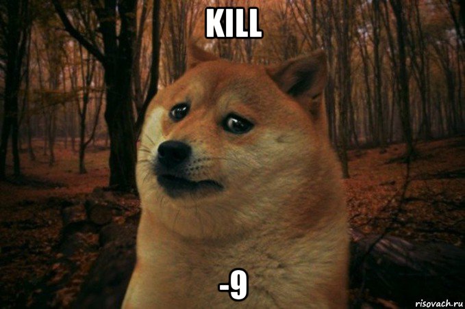 kill -9, Мем SAD DOGE