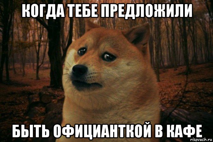 когда тебе предложили быть официанткой в кафе, Мем SAD DOGE