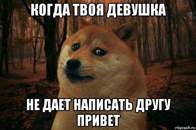 когда твоя девушка не дает написать другу привет, Мем SAD DOGE