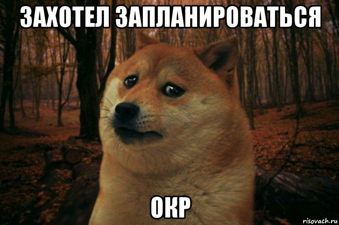 захотел запланироваться окр, Мем SAD DOGE