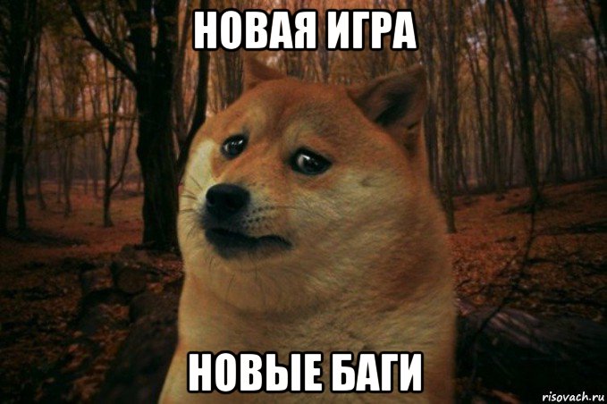 новая игра новые баги, Мем SAD DOGE