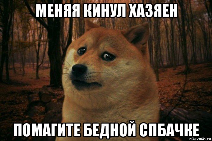 меняя кинул хазяен помагите бедной спбачке, Мем SAD DOGE