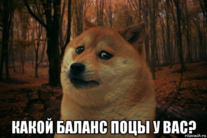  какой баланс поцы у вас?, Мем SAD DOGE