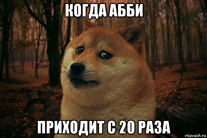 когда абби приходит с 20 раза, Мем SAD DOGE