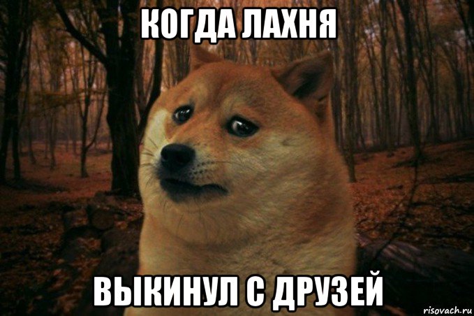 когда лахня выкинул с друзей, Мем SAD DOGE