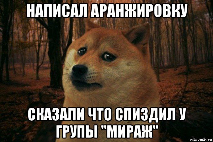 написал аранжировку сказали что спиздил у групы "мираж", Мем SAD DOGE