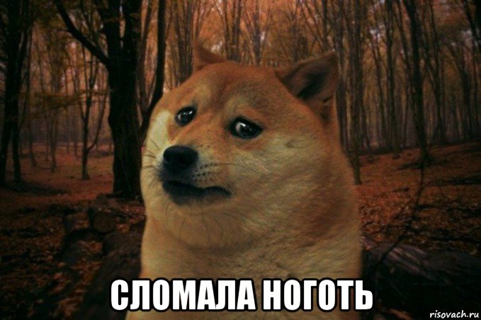  сломала ноготь, Мем SAD DOGE