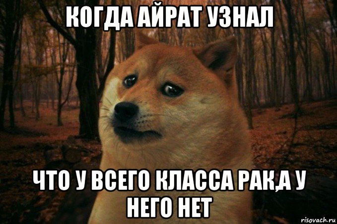 когда айрат узнал что у всего класса рак,а у него нет, Мем SAD DOGE