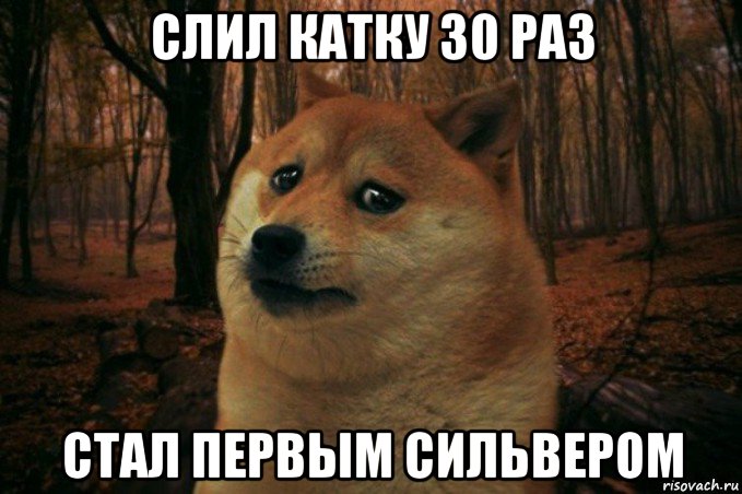 слил катку 30 раз стал первым сильвером, Мем SAD DOGE