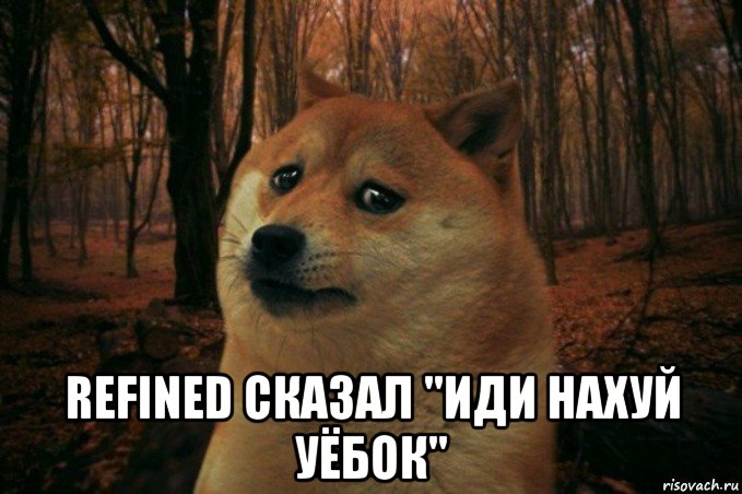  refined сказал ''иди нахуй уёбок'', Мем SAD DOGE