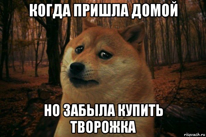 когда пришла домой но забыла купить творожка, Мем SAD DOGE