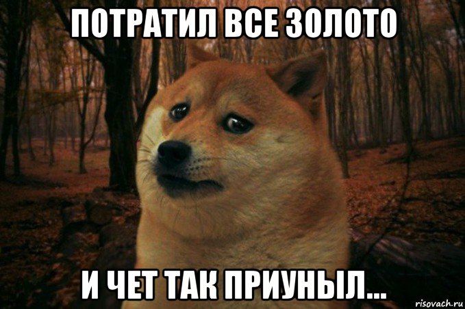 потратил все золото и чет так приуныл..., Мем SAD DOGE