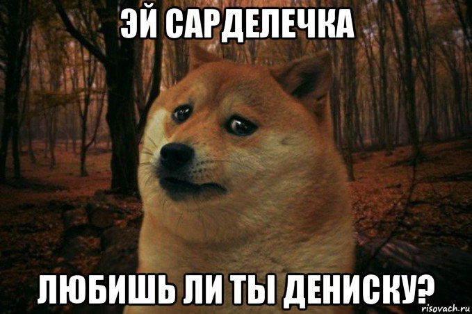 эй сарделечка любишь ли ты дениску?, Мем SAD DOGE