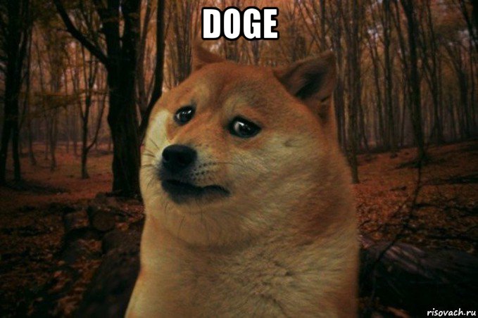 doge , Мем SAD DOGE