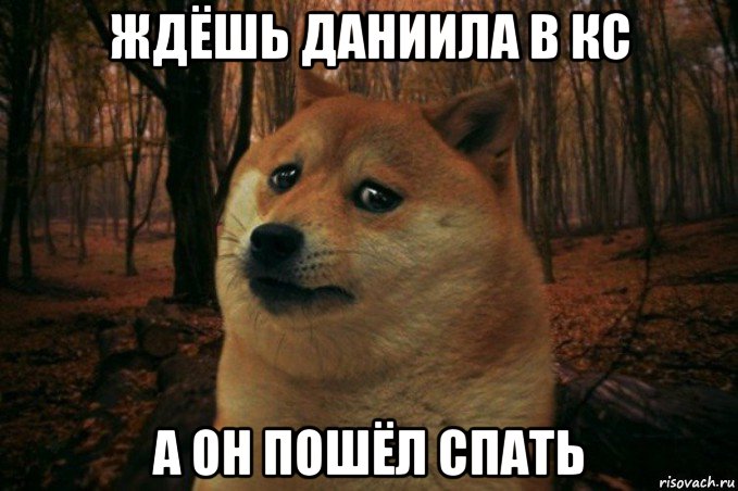 ждёшь даниила в кс а он пошёл спать, Мем SAD DOGE