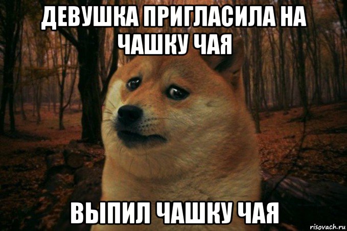 девушка пригласила на чашку чая выпил чашку чая, Мем SAD DOGE