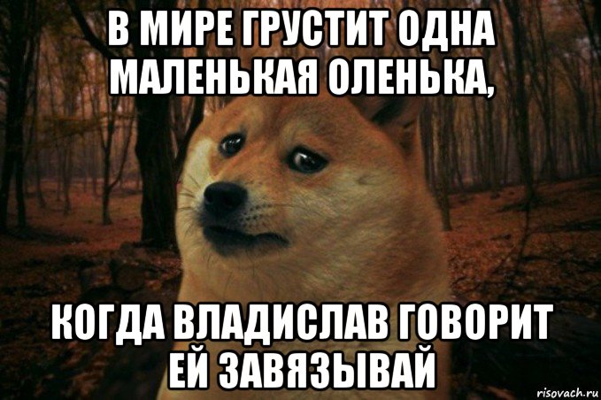 в мире грустит одна маленькая оленька, когда владислав говорит ей завязывай, Мем SAD DOGE