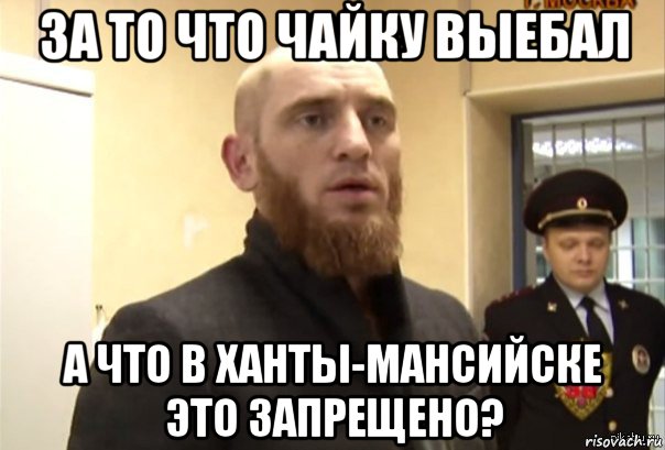 за то что чайку выебал а что в ханты-мансийске это запрещено?, Мем Шучу