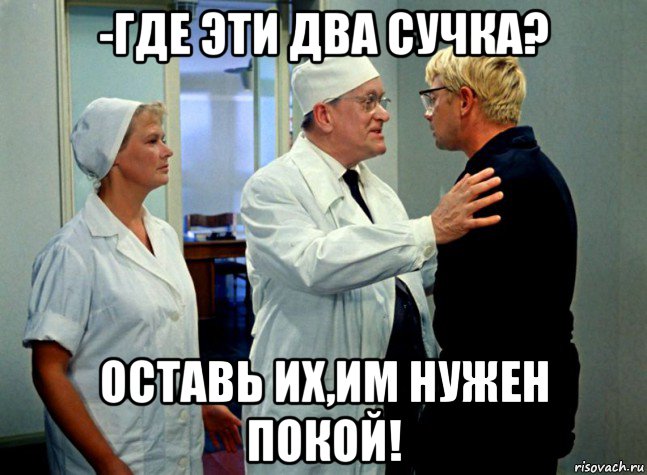 -где эти два сучка? оставь их,им нужен покой!
