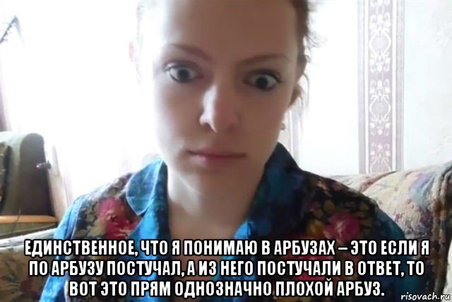  единственное, что я понимаю в арбузах – это если я по арбузу постучал, а из него постучали в ответ, то вот это прям однозначно плохой арбуз., Мем    Скайп файлообменник