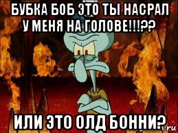 бубка боб это ты насрал у меня на голове!!!?? или это олд бонни?, Мем злой сквидвард