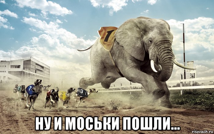  ну и моськи пошли..., Мем Слон