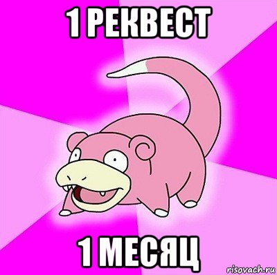 1 реквест 1 месяц, Мем слоупок