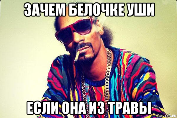 зачем белочке уши если она из травы