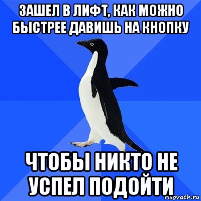 зашел в лифт, как можно быстрее давишь на кнопку чтобы никто не успел подойти, Мем  Социально-неуклюжий пингвин