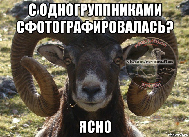 с одногруппниками сфотографировалась? ясно