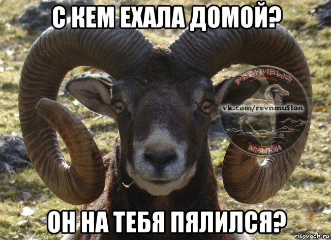 с кем ехала домой? он на тебя пялился?