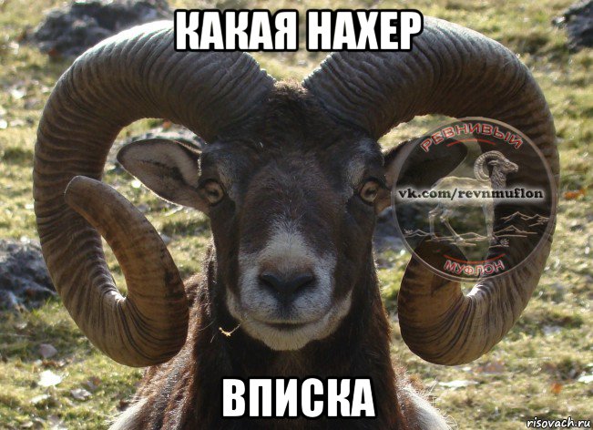 какая нахер вписка