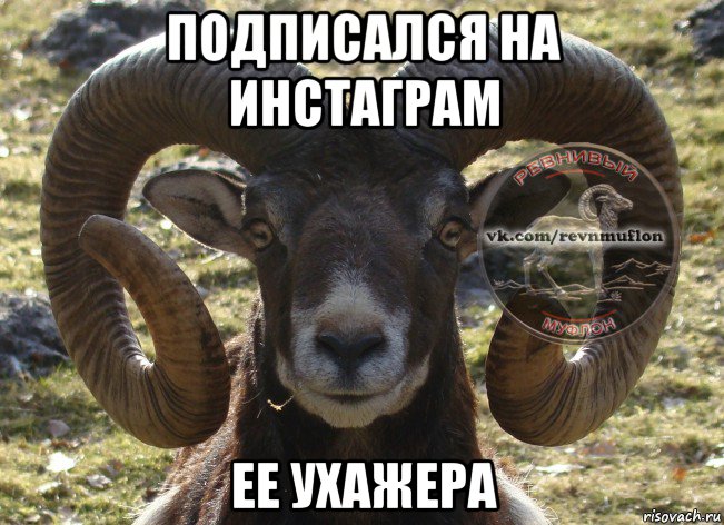 подписался на инстаграм ее ухажера
