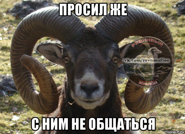 просил же с ним не общаться