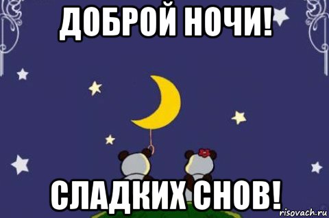 доброй ночи! сладких снов!, Мем Спокойной ночи Саша