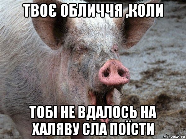 твоє обличчя ,коли тобі не вдалось на халяву сла поїсти