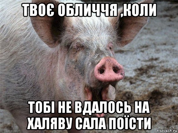 твоє обличчя ,коли тобі не вдалось на халяву сала поїсти