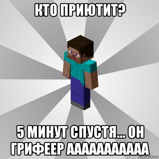 кто приютит? 5 минут спустя... он грифеер ааааааааааа, Мем Типичный игрок Minecraft