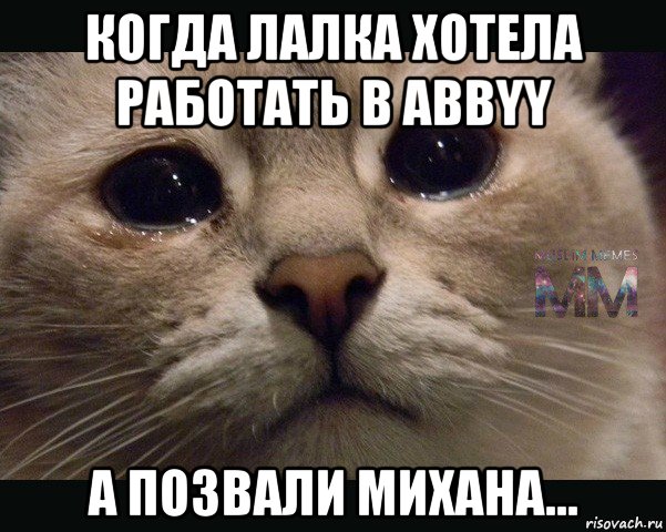 когда лалка хотела работать в abbyy а позвали михана...