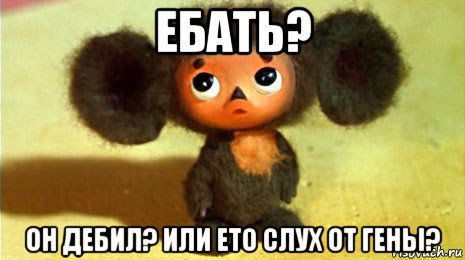 ебать? он дебил? или ето слух от гены?