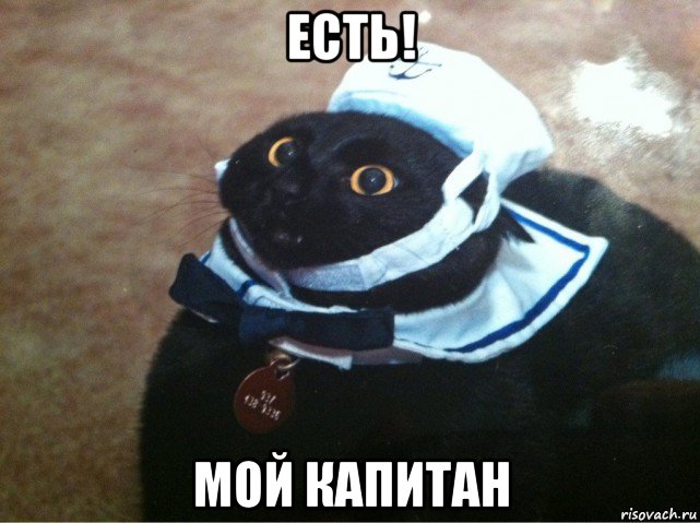 есть! мой капитан