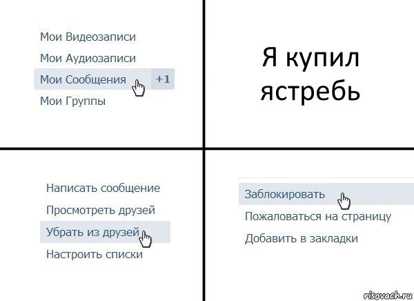 Я купил ястребь, Комикс  Удалить из друзей