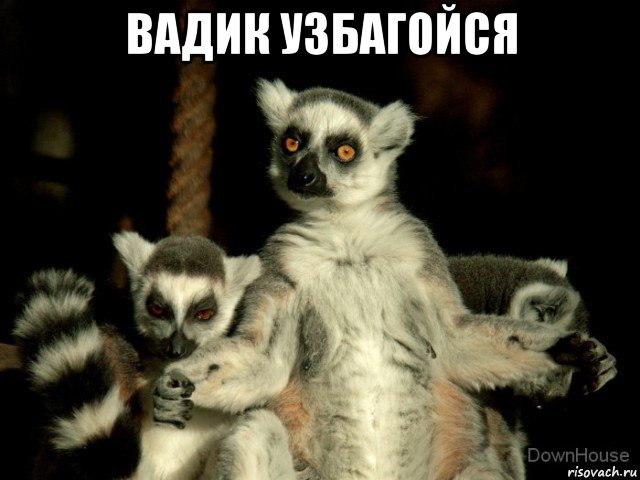 вадик узбагойся 