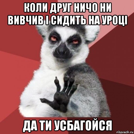 коли друг ничо ни вивчив і сидить на уроці да ти усбагойся, Мем Узбагойзя