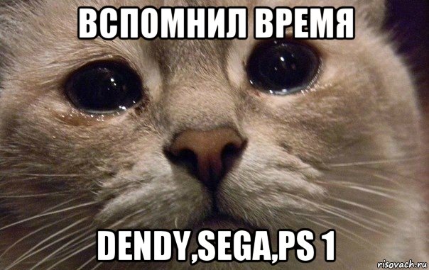 вспомнил время dendy,sega,ps 1, Мем   В мире грустит один котик