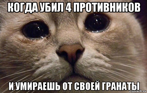 когда убил 4 противников и умираешь от своей гранаты, Мем   В мире грустит один котик