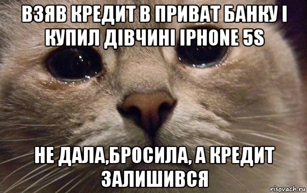 взяв кредит в приват банку і купил дівчині iphone 5s не дала,бросила, а кредит залишився, Мем   В мире грустит один котик