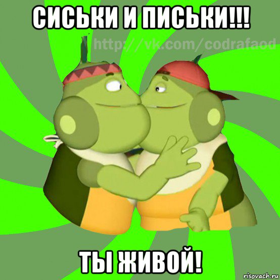 сиськи и письки!!! ты живой!